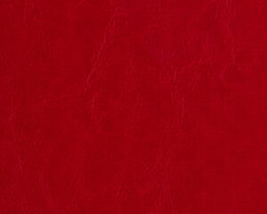PR 029