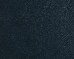 GR 155