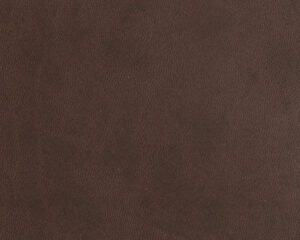 SM 204