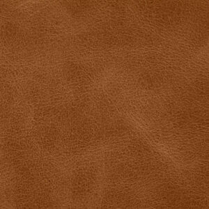 SN503 - Caramello